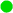verte
